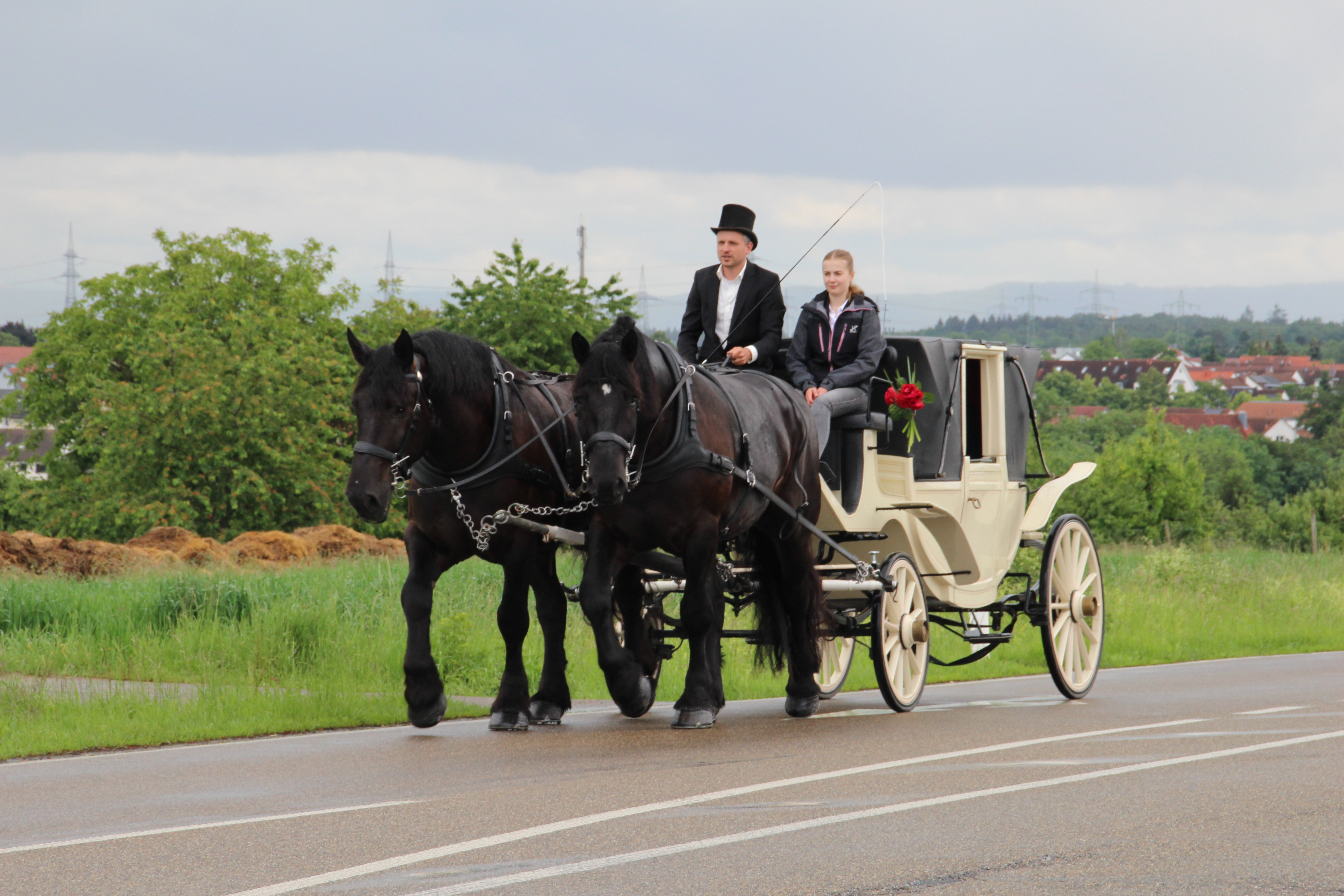Planwagenfahrten Sartorius